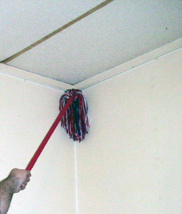 Cobweb Mop
